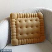 coussin biscuit