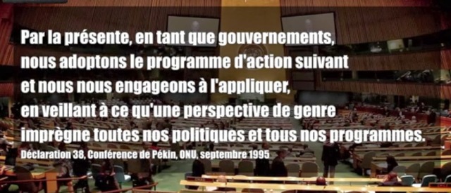 Théorie du genre à l'ONU 1995